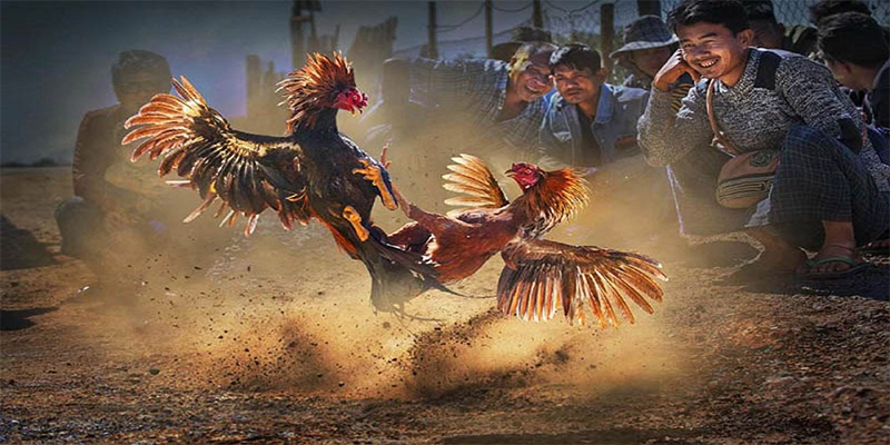 79k99 xổ số bữa nay