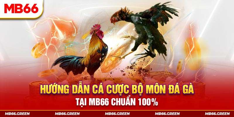 79k99 slot là gi