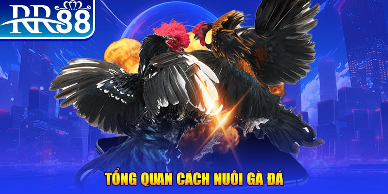 79k99 game nổ hũ rút tiền mặt là gì