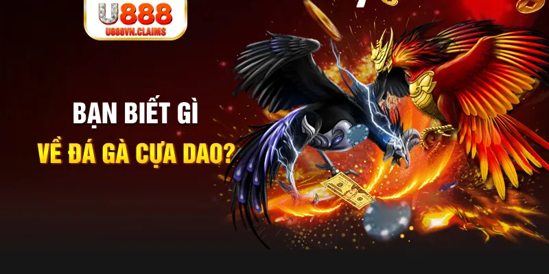 79k99 SW Xổ Số