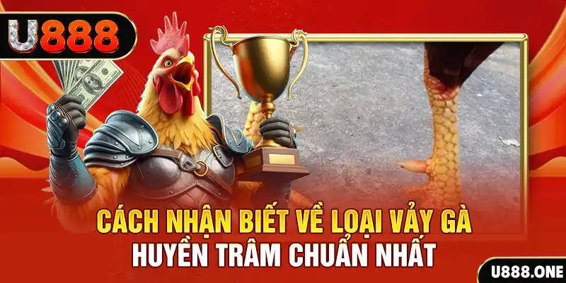 79k99 đăng nhập nổ hũ số 1
