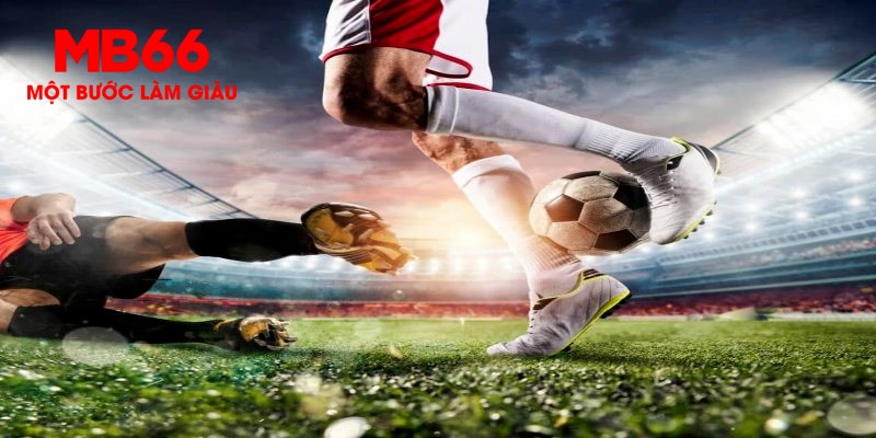 79k99 trực tiếp đá gà thomo