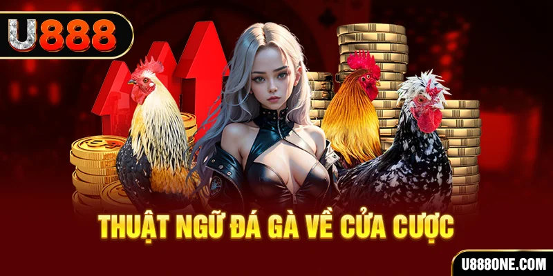 79k99 hơn cả bạn bè