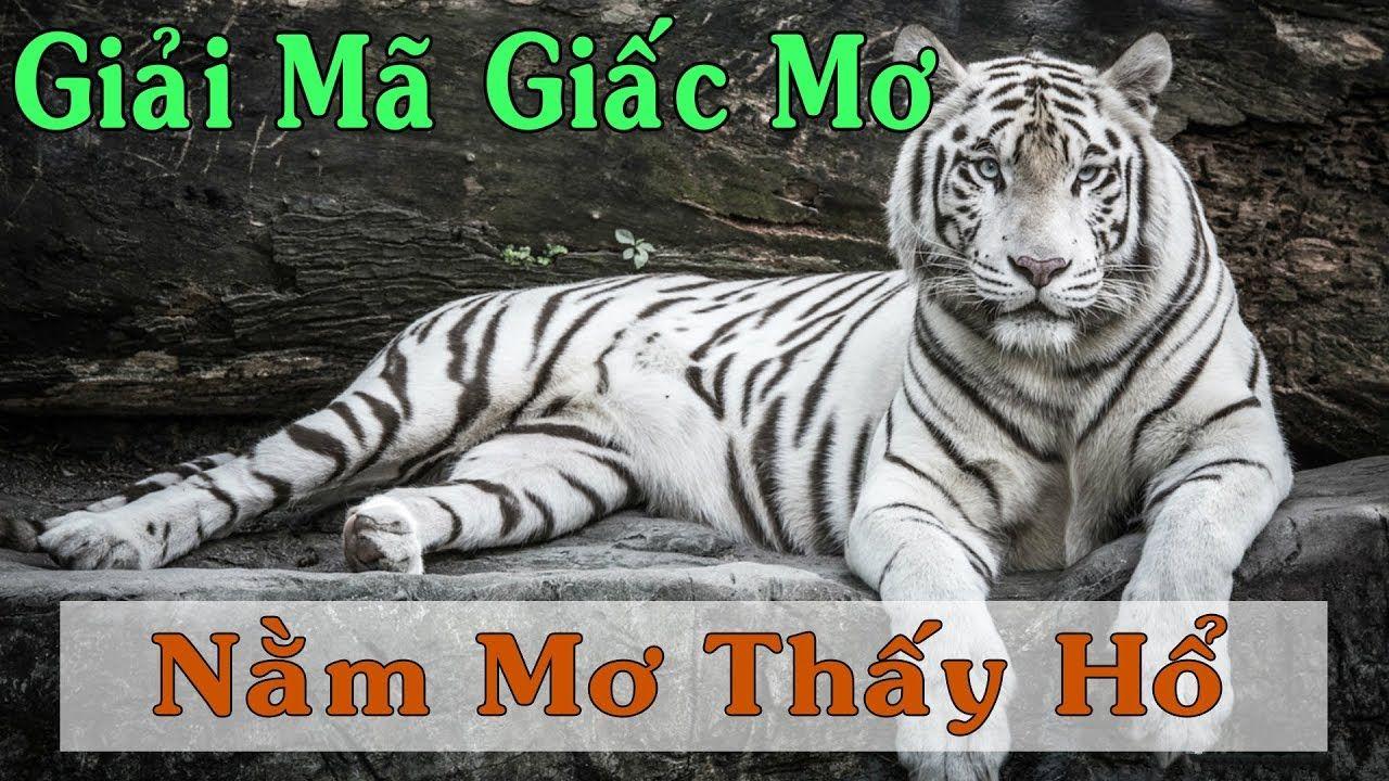 79k99 nổ hũ là game gì