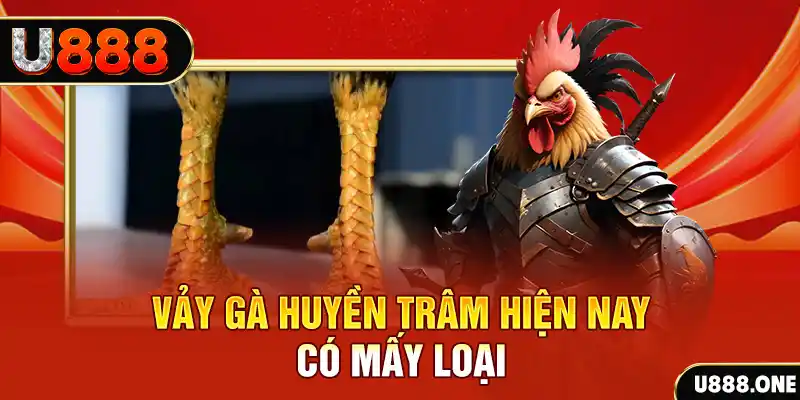 79k99 casino online là gì