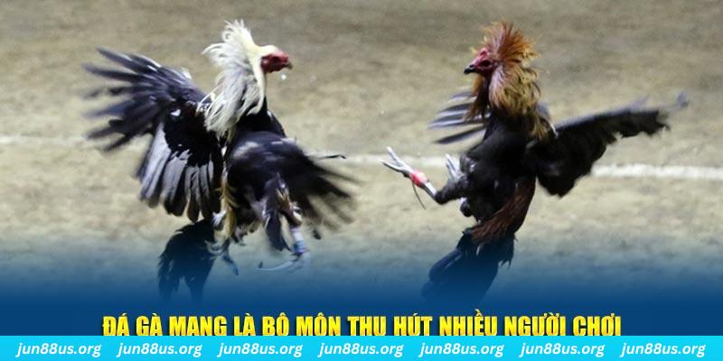 79k99 nổ hủ nghĩa là gì