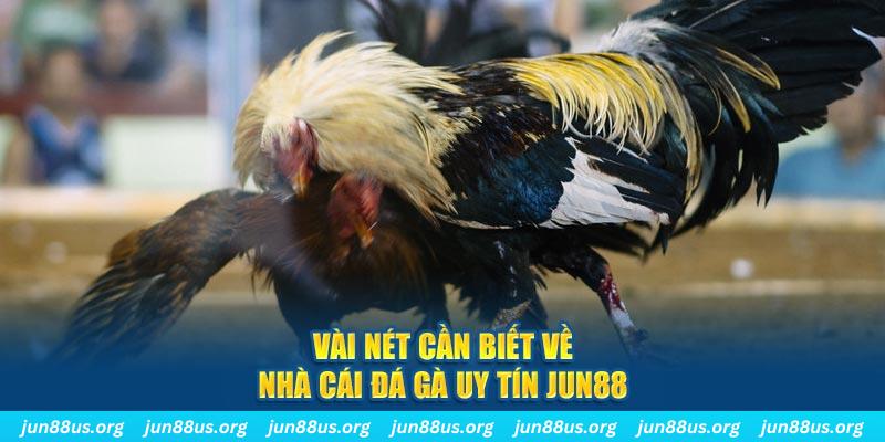 79k99 đăng nhập phỏm khuyến mãi
