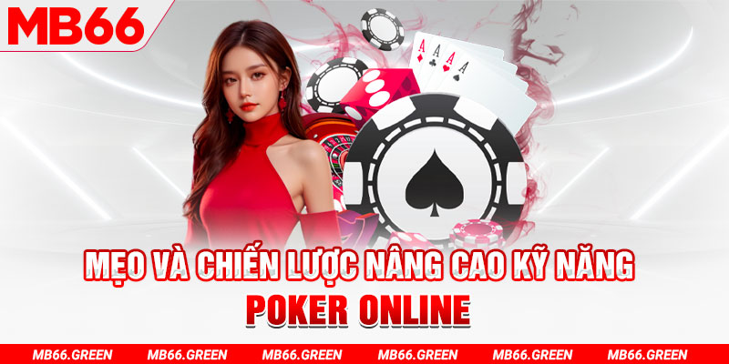 79k99 chổi lông gà