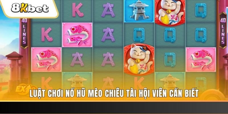 79k99 máy bay nổ hủ