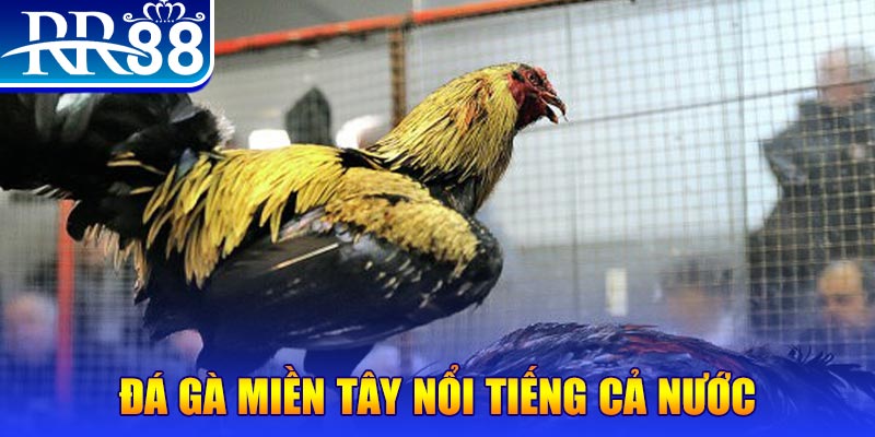 79k99 xổ số đại phát