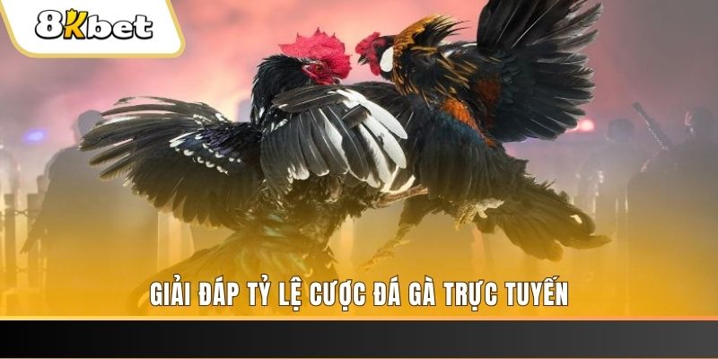 79k99 ga choi cau thanh
