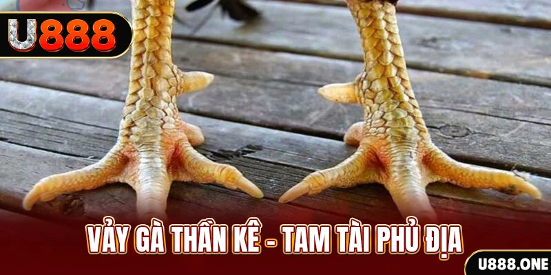 79k99 xổ số miền trung thứ hai hàng tuần