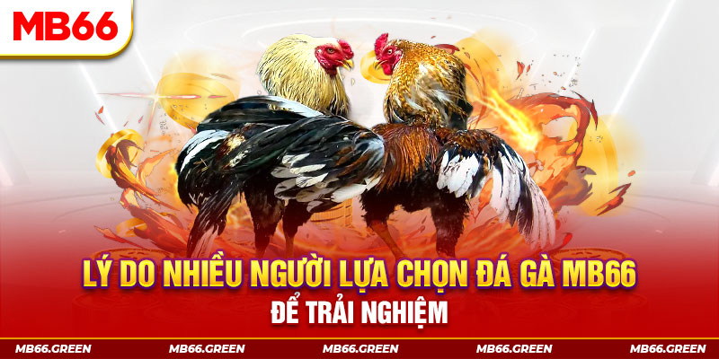 79k99 đăng nhập liêng trực tiếp