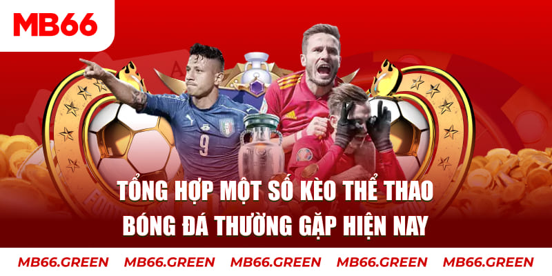 79k99 người chia bài trong casino gọi là gì