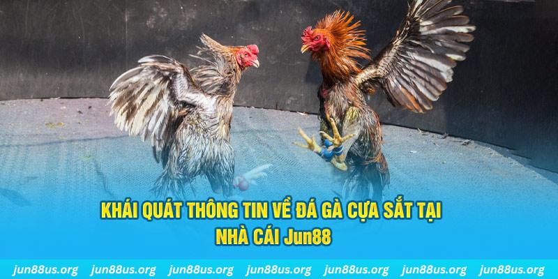 79k99 xổ số miền bắc thứ bảy hàng tuần
