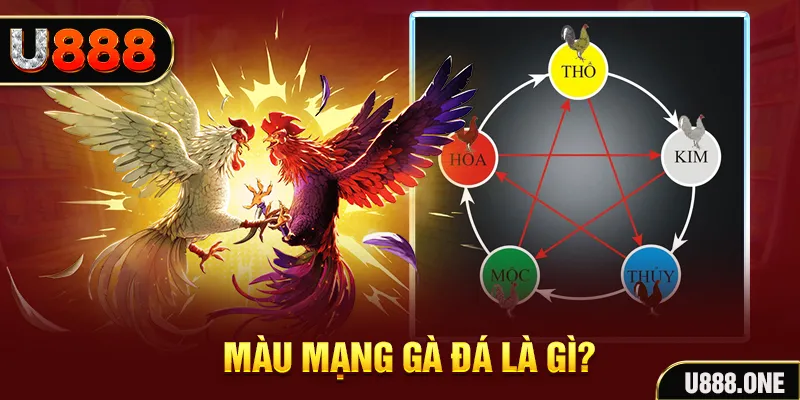 79k99 xổ số miền trung thứ tư hàng tuần