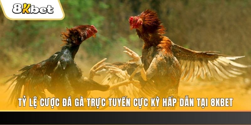 79k99 đăng nhập mậu binh online