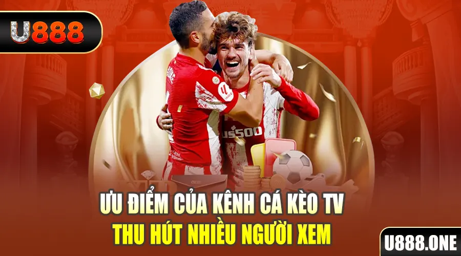 79k99 gà chọi cu cần
