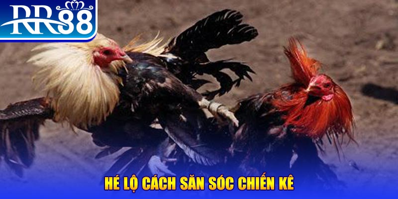 79k99 xổ số miền trung thứ tư