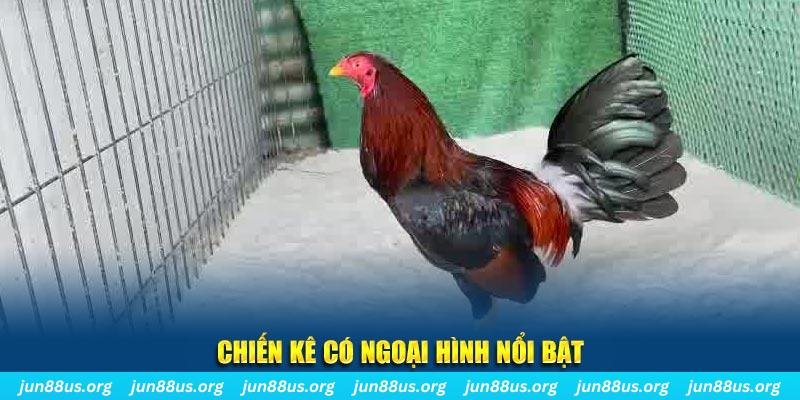 79k99 game bắn cá