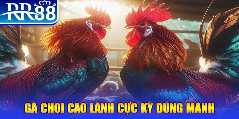79k99 HB Điện Tử