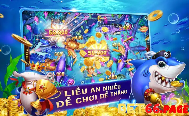 79k99 1 slot là gì