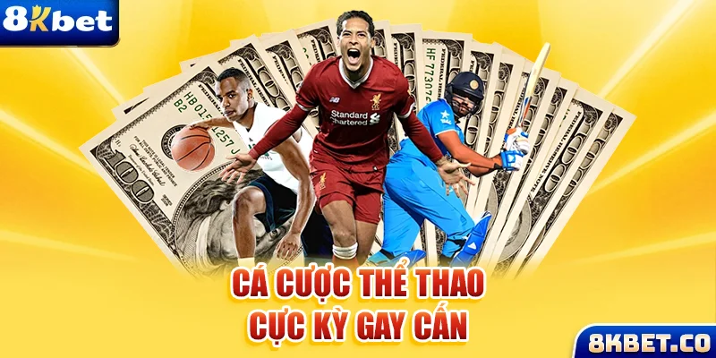79k99 xem đá gà trực tiếp